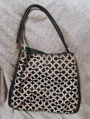 Coach 3 Compartment Hobo